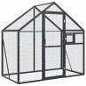 Aviary Anthracite 179x100x185 cm Aluminium - HipoMarket