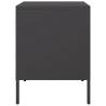 Industrial Style Bedside Cabinets - 2 pcs Black Steel