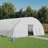 Greenhouse with Steel Frame White 48 m² 8x6x2.85 m Colour white Size 8 x 6 x 2.85 m Quantity in Package 1 