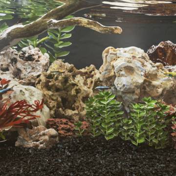 Dragon Stones 25 kg Mixed Colour | Unique Aquarium Decor