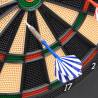 Electric Dartboard with Darts - Fun for All Ages