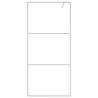 Walk-in Shower Wall Silver 90x195 cm | Clear ESG Glass