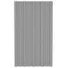 Galvanised Steel Roof Panels - 12 pcs Grey 80x45 cm