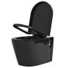 Wall Hung Toilet with Concealed Cistern - Black Ceramic