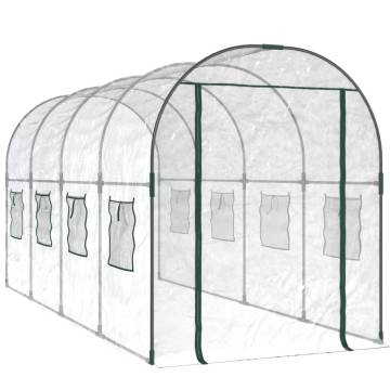 Greenhouse Transparent 160x400 cm - Durable & UV Resistant