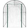 Greenhouse Transparent 160x400 cm - Durable & UV Resistant