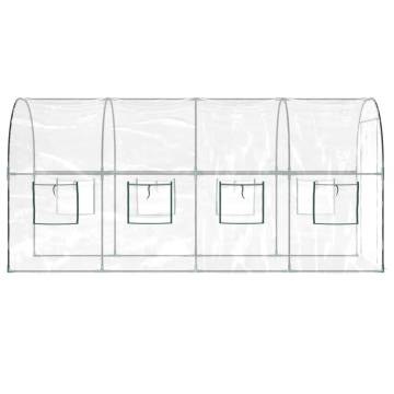 Greenhouse Transparent 160x400 cm - Durable & UV Resistant