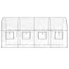 Greenhouse Transparent 160x400 cm - Durable & UV Resistant