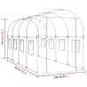 Greenhouse Transparent 160x400 cm - Durable & UV Resistant