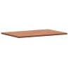 Solid Wood Beech Bathroom Countertop 60x40 cm - Durable Design