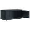 Stylish Anthracite File Cabinet - 90x40x220 cm Steel