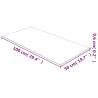 Table Top Transparent 50x100 cm Tempered Glass - HipoMarket