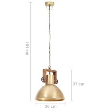 Industrial Hanging Lamp 25W Brass Round 30cm E27 - HipoMarket