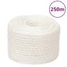  Work Rope White 10 mm 250 m Polypropylene Colour white Quantity in Package 1 Length 250 m Diameter 10 mm 