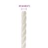 Work Rope White 10mm 250m - Durable Polypropylene Cord