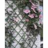 Nature Garden Trellis 50x150cm PVC Green - Beautiful Plant Support