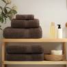 Premium Guest Towels SOLUND 2pcs Brown - Ultra Soft & Absorbent