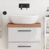  Bathroom Countertop 60x40x4 cm Solid Wood Beech Colour brown Size 60 x 40 x 4 cm 