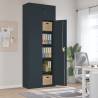  File Cabinet Anthracite 90x40x240 cm Steel Colour anthracite Size 90 x 40 x 240 cm Quantity in Package 1 Number of 