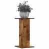  Plant Stands 2 pcs Old Wood 30x30x60 cm Engineered Wood Colour old wood Size 30 x 30 x 60 cm Quantity in Package 1 